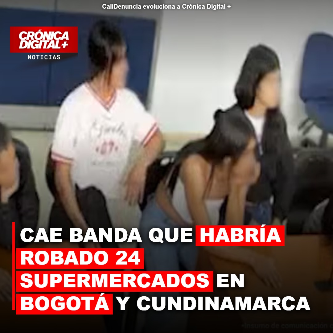 Desarticulan banda ‘Las Pirañas’ por robos sistemáticos en supermercados de Bogotá