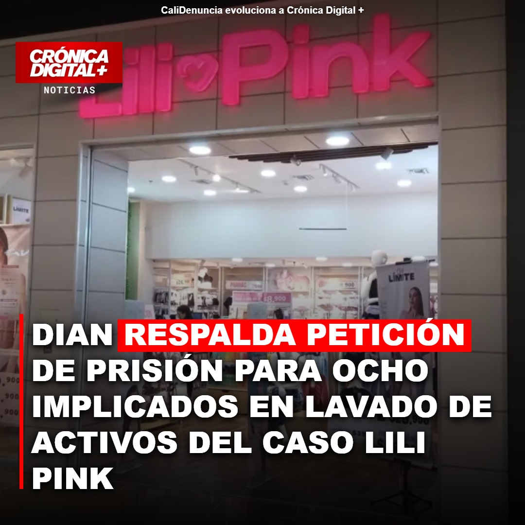 DIAN Pide Cárcel para Ocho Implicados en Red de Lavado de Activos del Caso Lili Pink