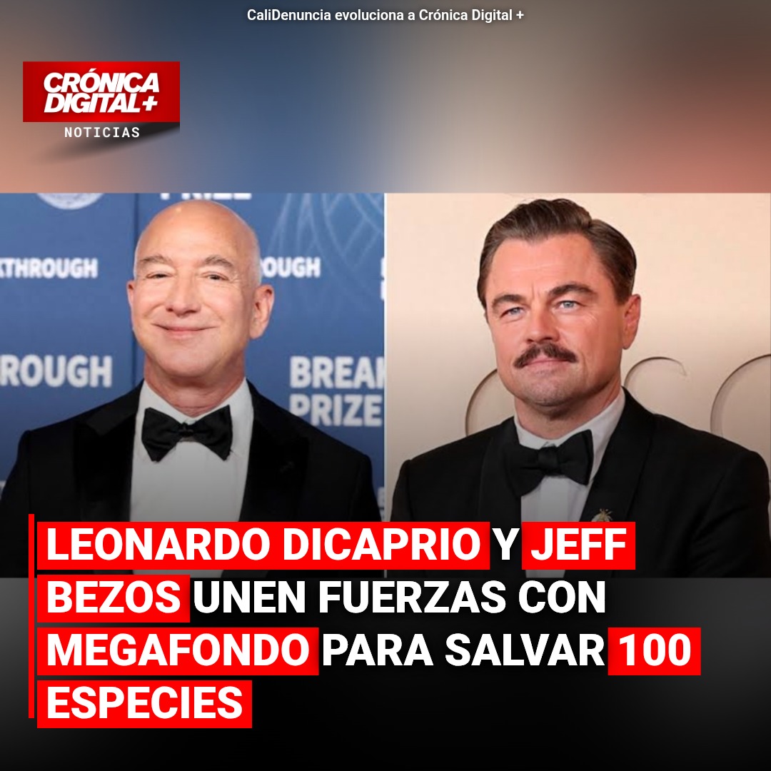 DiCaprio y Bezos destinan 200 millones a salvar 100 especies críticas