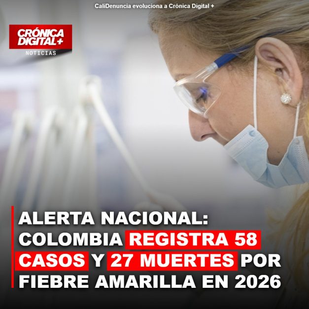 Fiebre Amarilla en Colombia: Tolima Concentra el 95% de Casos y Mortandad Alarmante