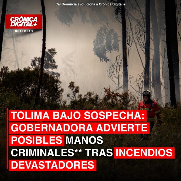 Gobernadora del Tolima investiga posible origen criminal en incendios devastadores