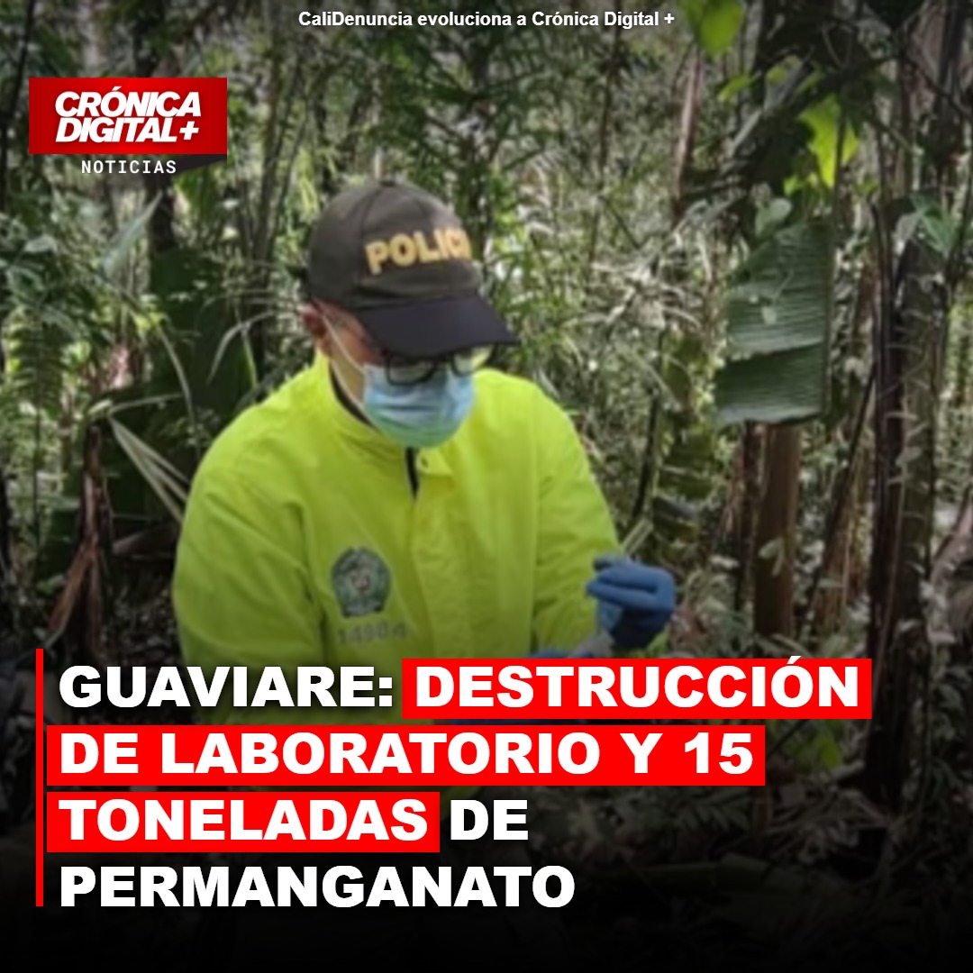 Guaviare: Golpe millonario al narcotráfico con destrucción de laboratorio