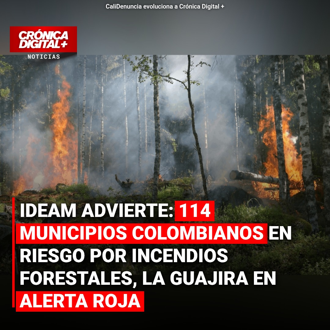 IDEAM Alerta: 114 Municipios Colombianos en Riesgo por Incendios Forestales