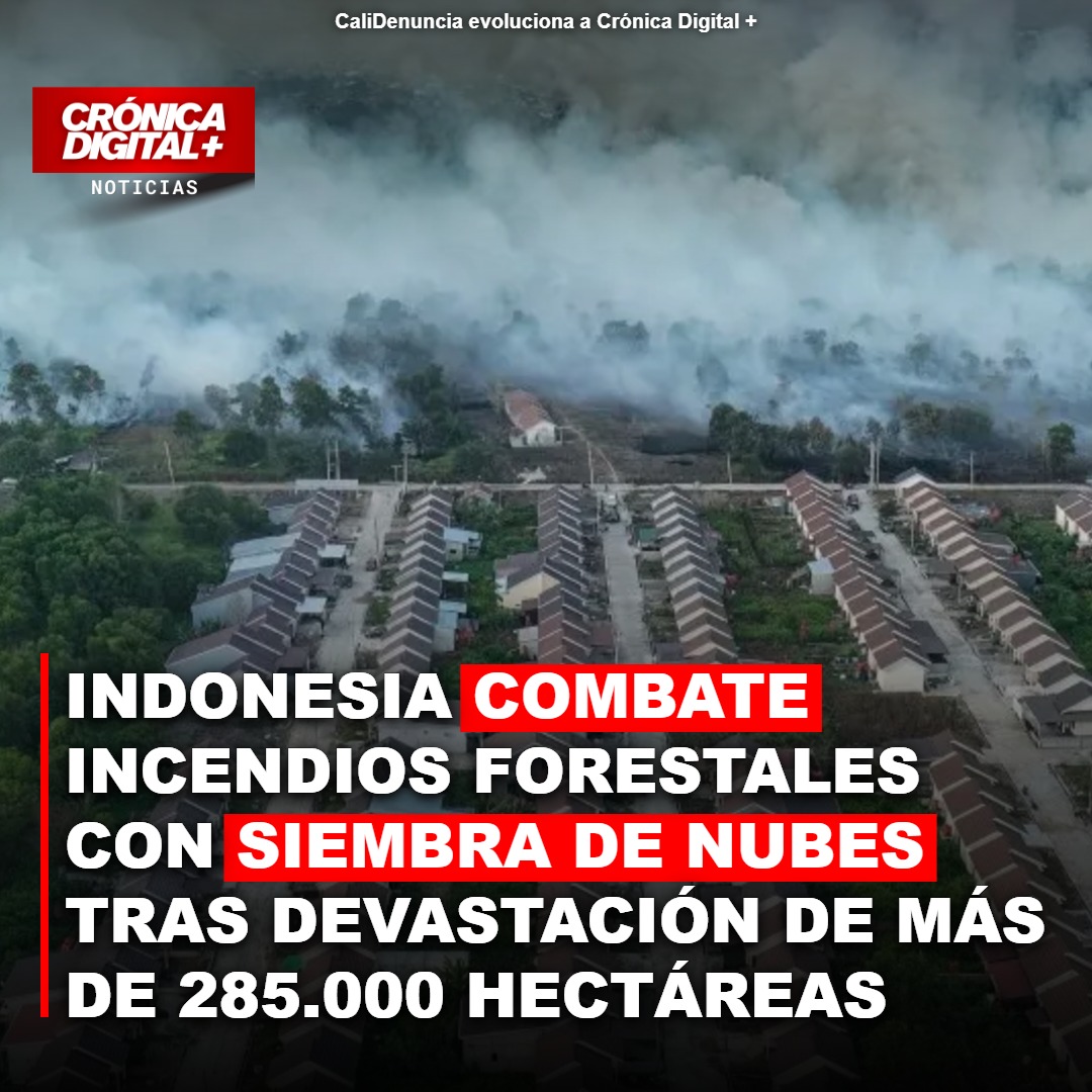 Indonesia siembra nubes para frenar incendios: 285.000 hectáreas devastadas