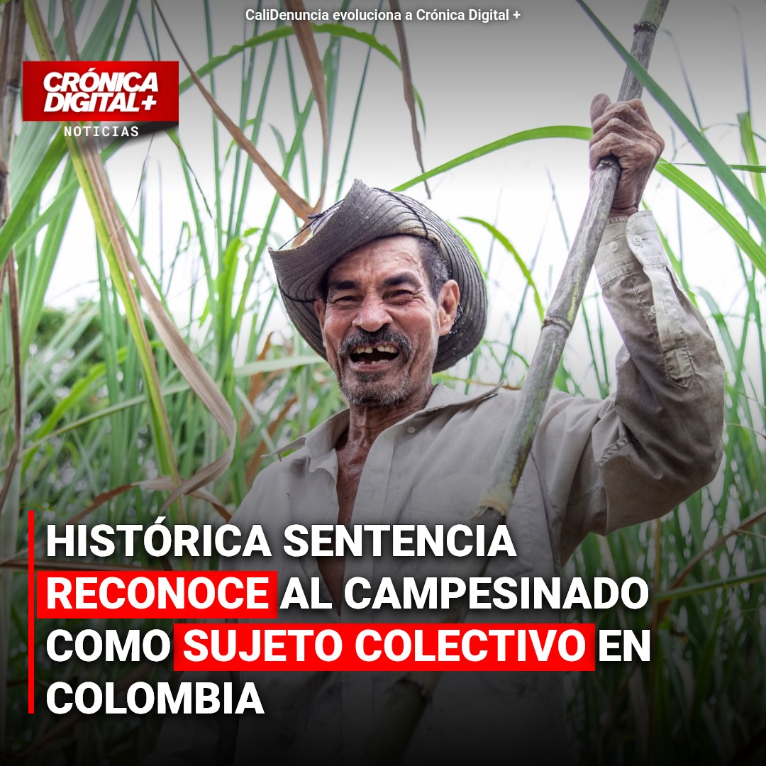 Justicia colombiana reconoce campesinado como sujeto colectivo de restitución y ambiental