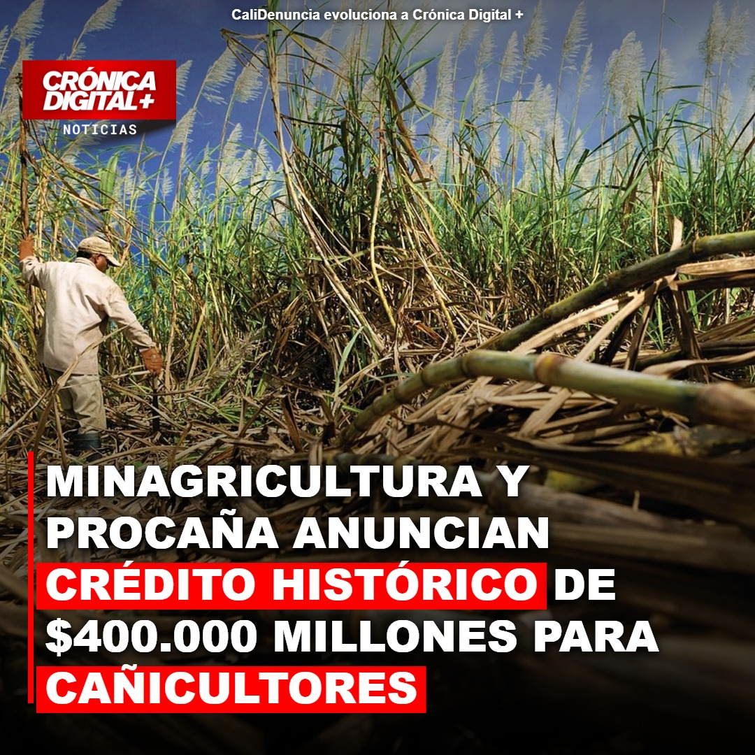 MinAgricultura y Procaña lanzan histórico crédito de $400.000 millones para cañicultores