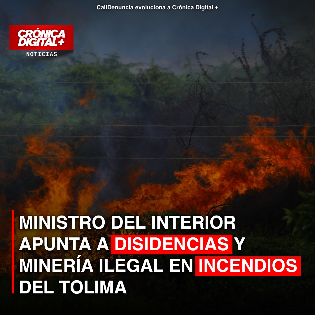 Ministro del Interior vincula disidencias y minería ilegal a incendios en Tolima