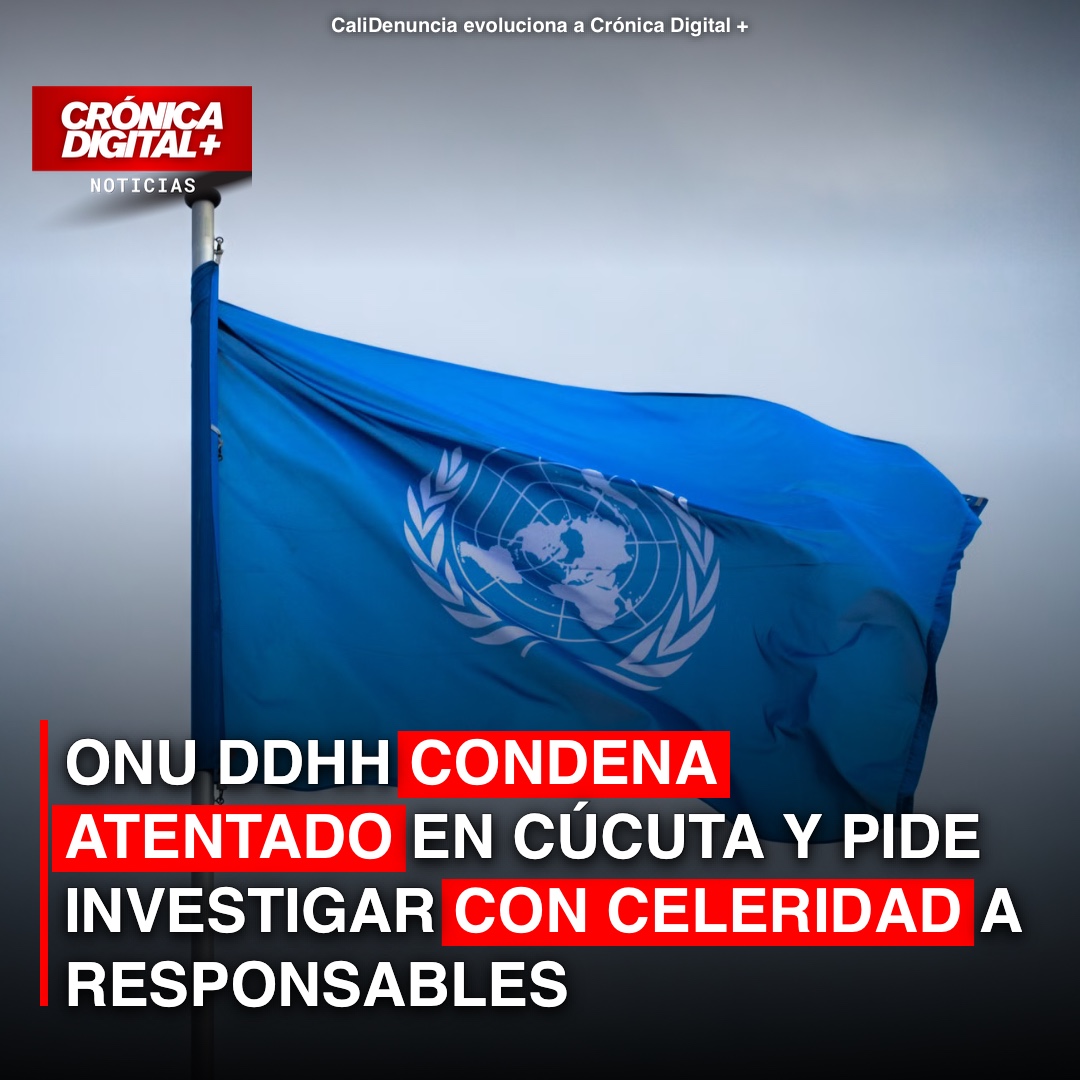 ONU DDHH Urge Celeridad en Investigación por Atentado en Cúcuta