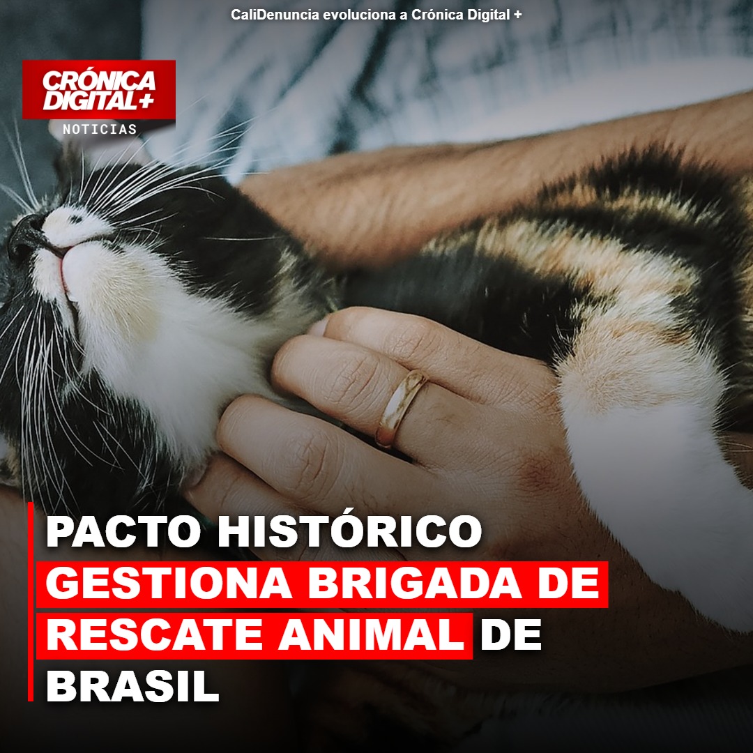Pacto Histórico gestiona Brigada de Rescate animal de Brasil