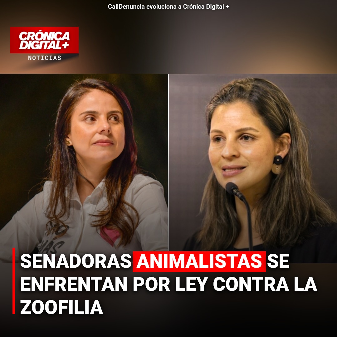 Senadoras animalistas chocan por autoría de Ley Antizoofilia en Colombia
