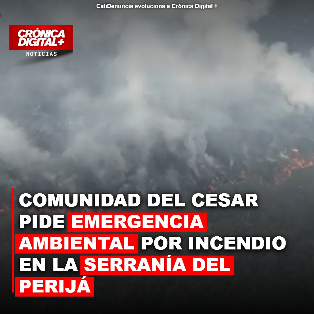 Serranía del Perijá: Incendio devasta 8.000 hectáreas y comunidad exige ayuda estatal
