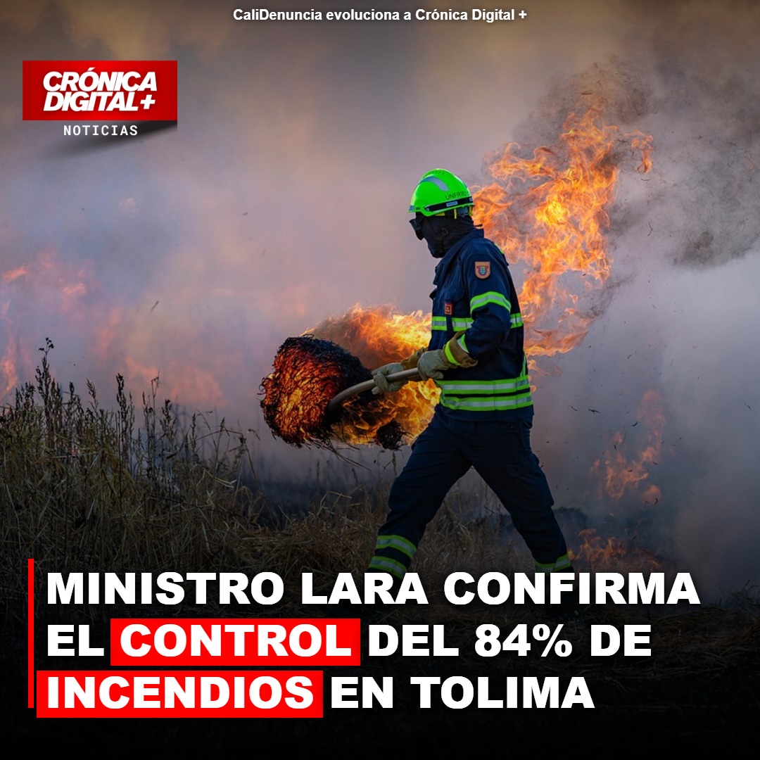 Tolima: 84% de incendios forestales controlados en un balance alentador