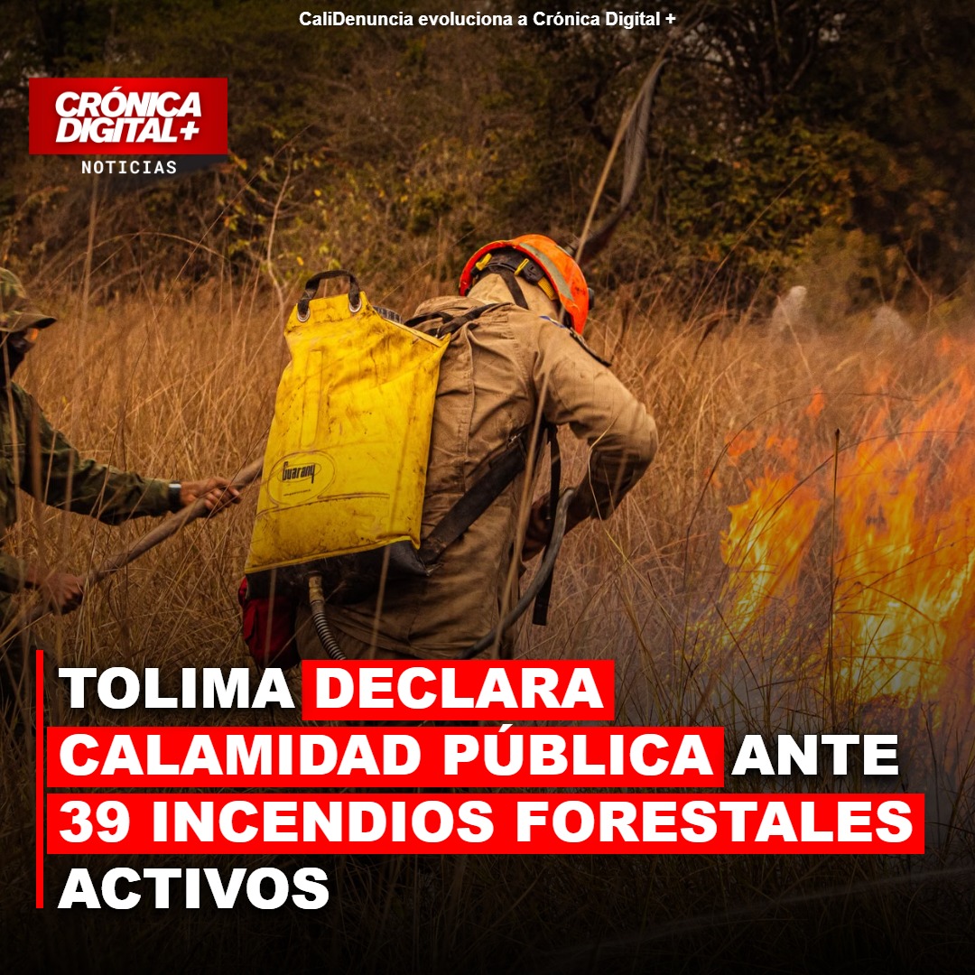 Tolima Declara Calamidad Pública por 39 Incendios Forestales Activos
