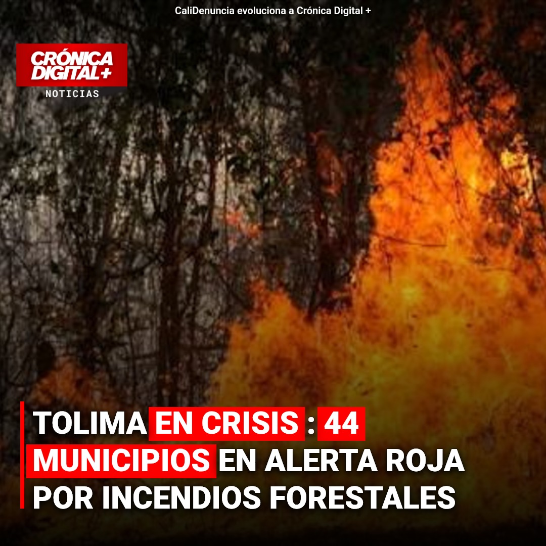 Tolima en Alerta Máxima: Incendios Devastan Cerca de 10.000 Hectáreas