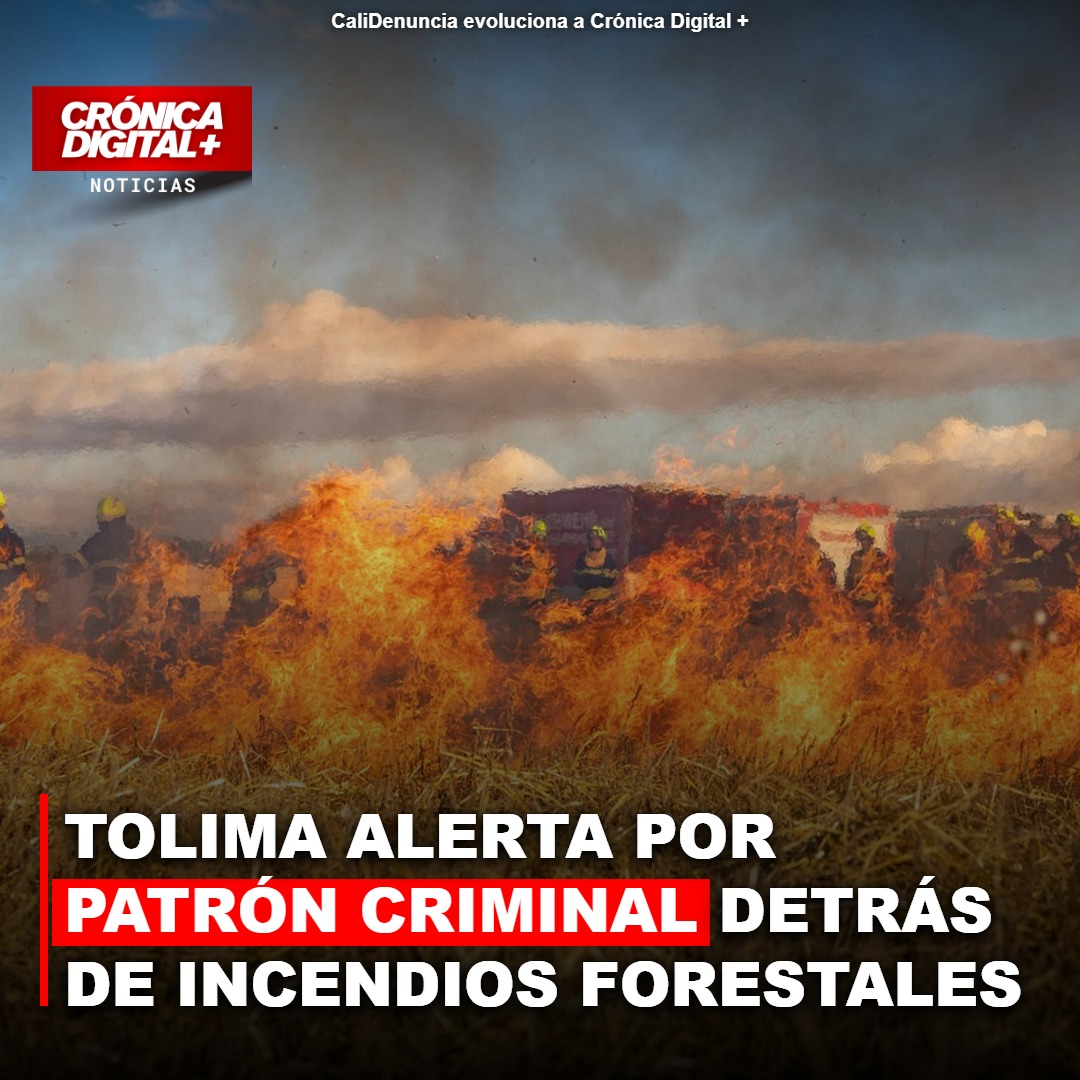 Tolima: Gobernadora denuncia patrón criminal detrás de incendios masivos