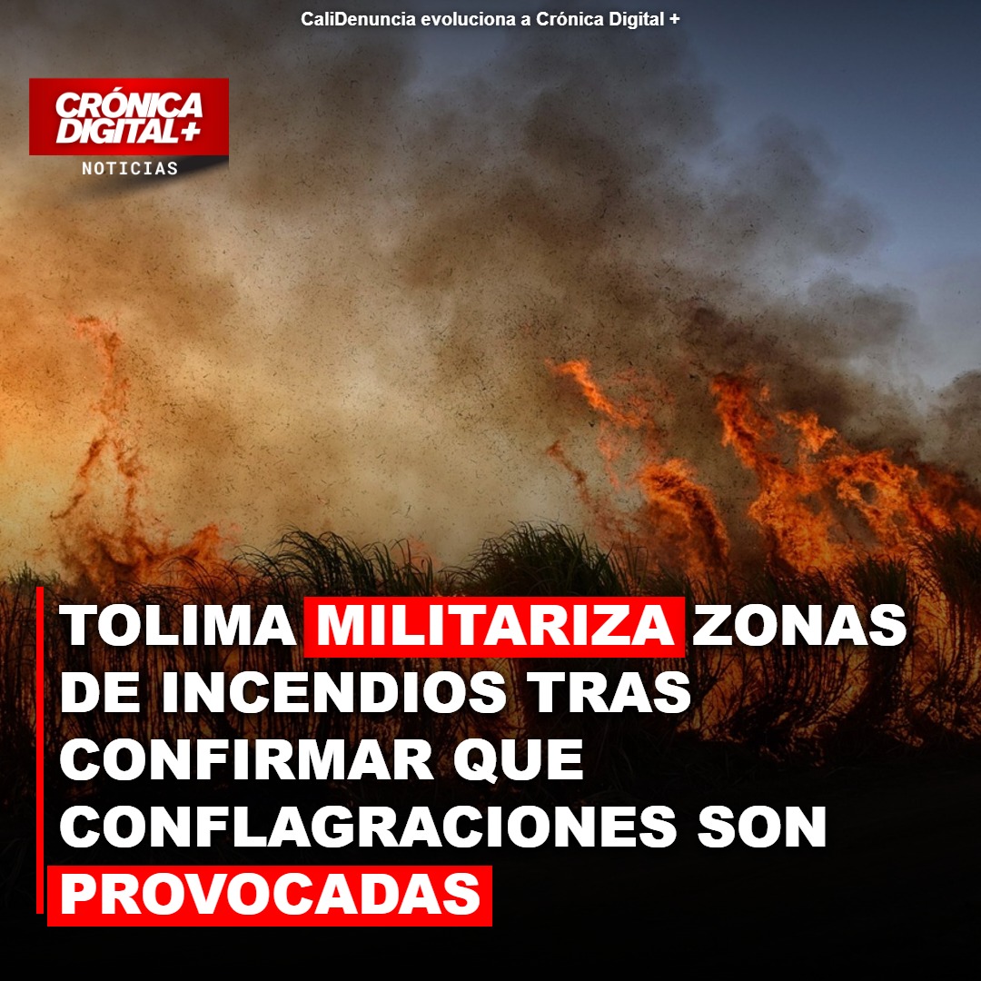 Tolima militariza zonas incendiadas tras confirmar provocación criminal