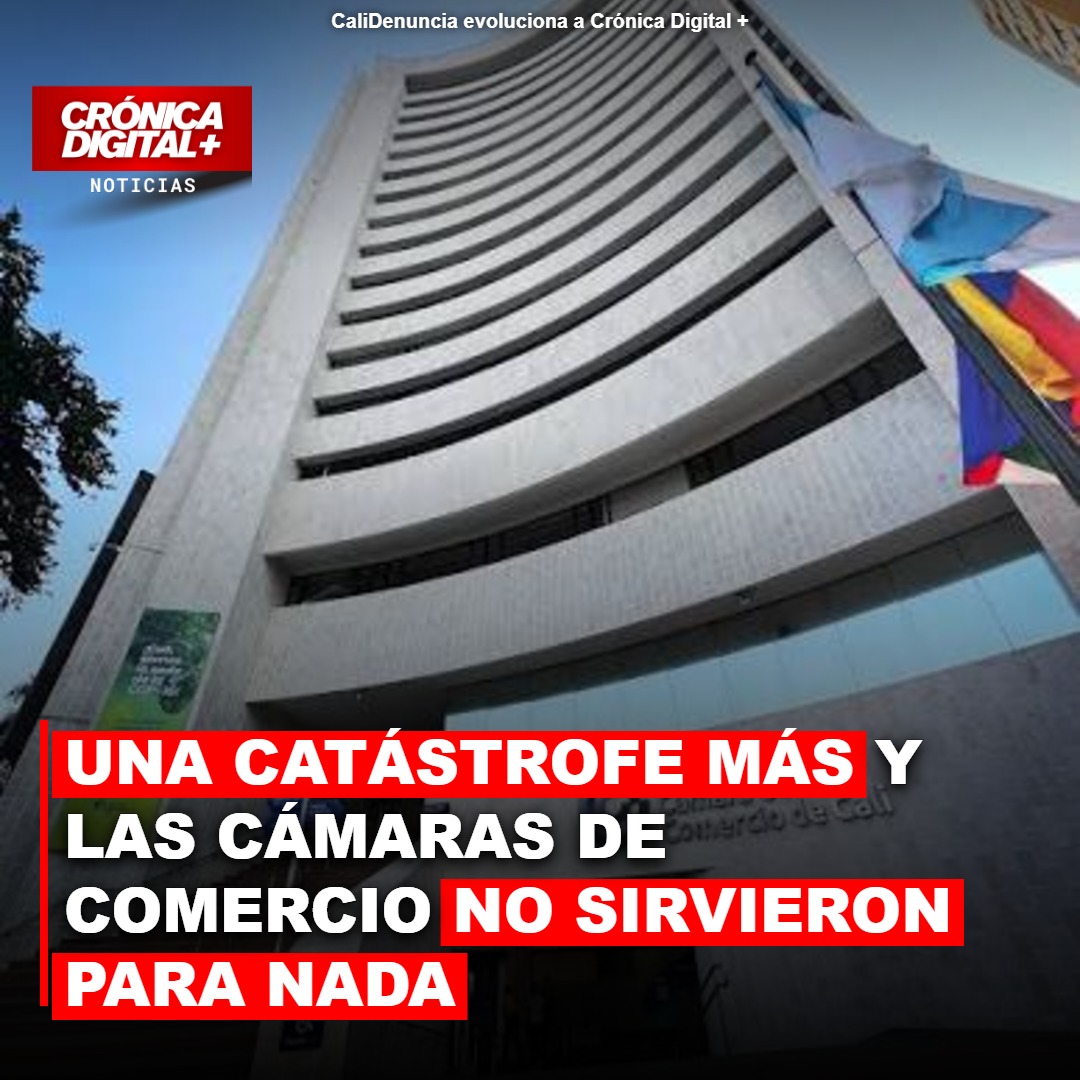 Una Catástrofe más y las Cámaras de Comercio no sirvieron para nada