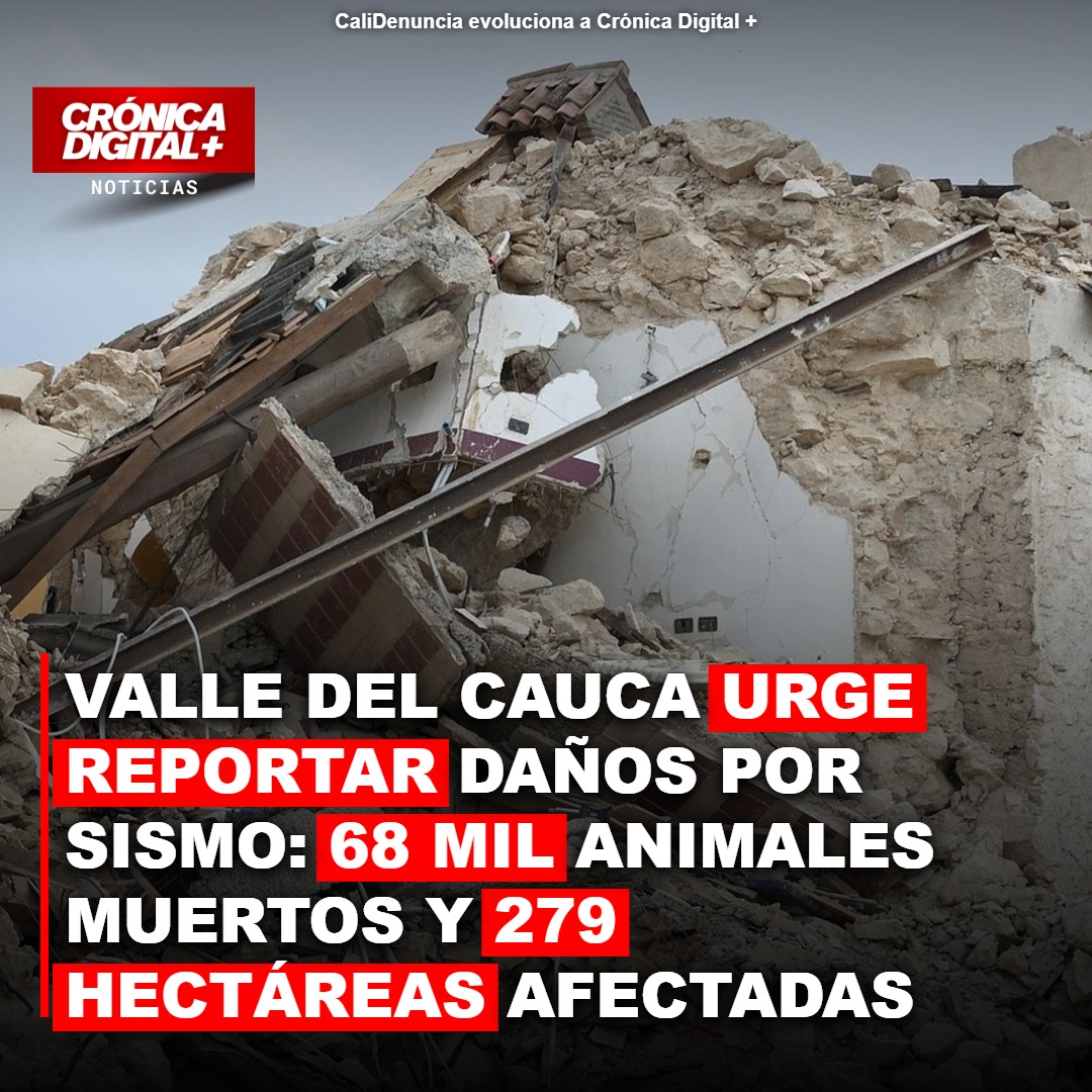 Valle del Cauca: Urgencia para Reportar Daños tras Sismo con Graves Pérdidas Rurales