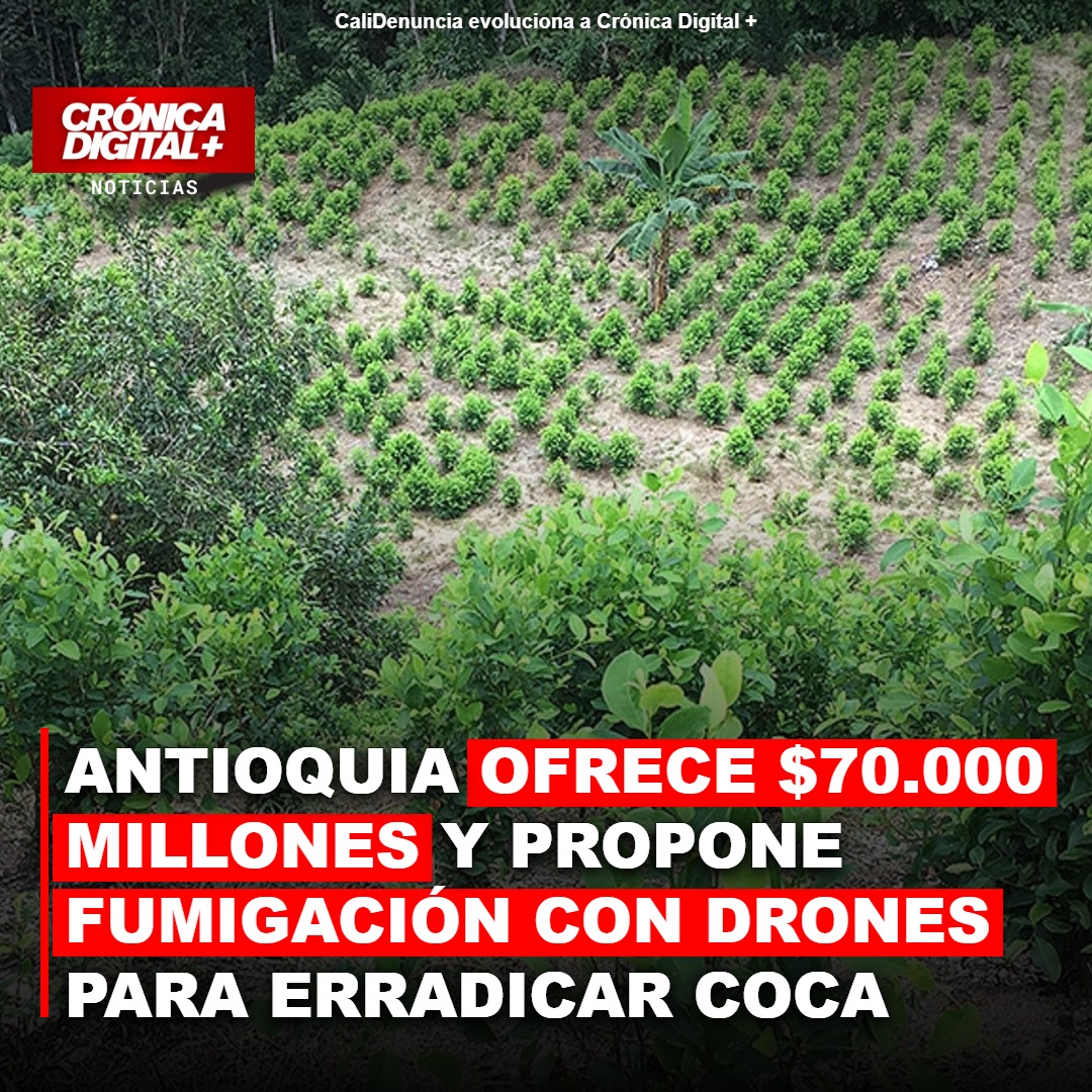 Antioquia Ofrece $70.000 Millones y Propone Erradicación de Coca con Drones