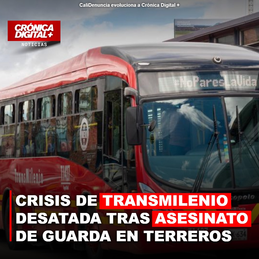 Asesinato en TransMilenio Revela Profunda Crisis de Seguridad y Evasión