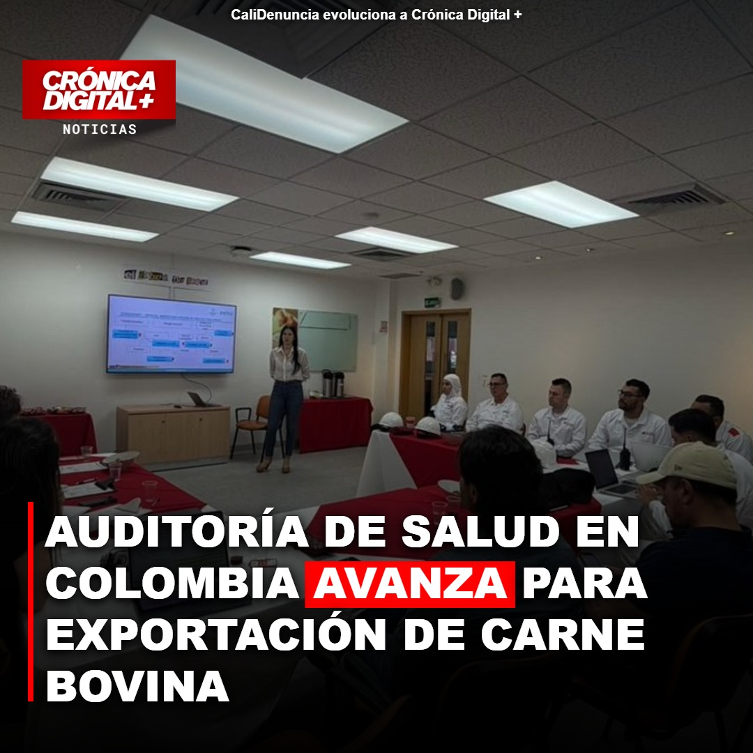 Auditoría de Salud en Colombia avanza para exportación de carne bovina