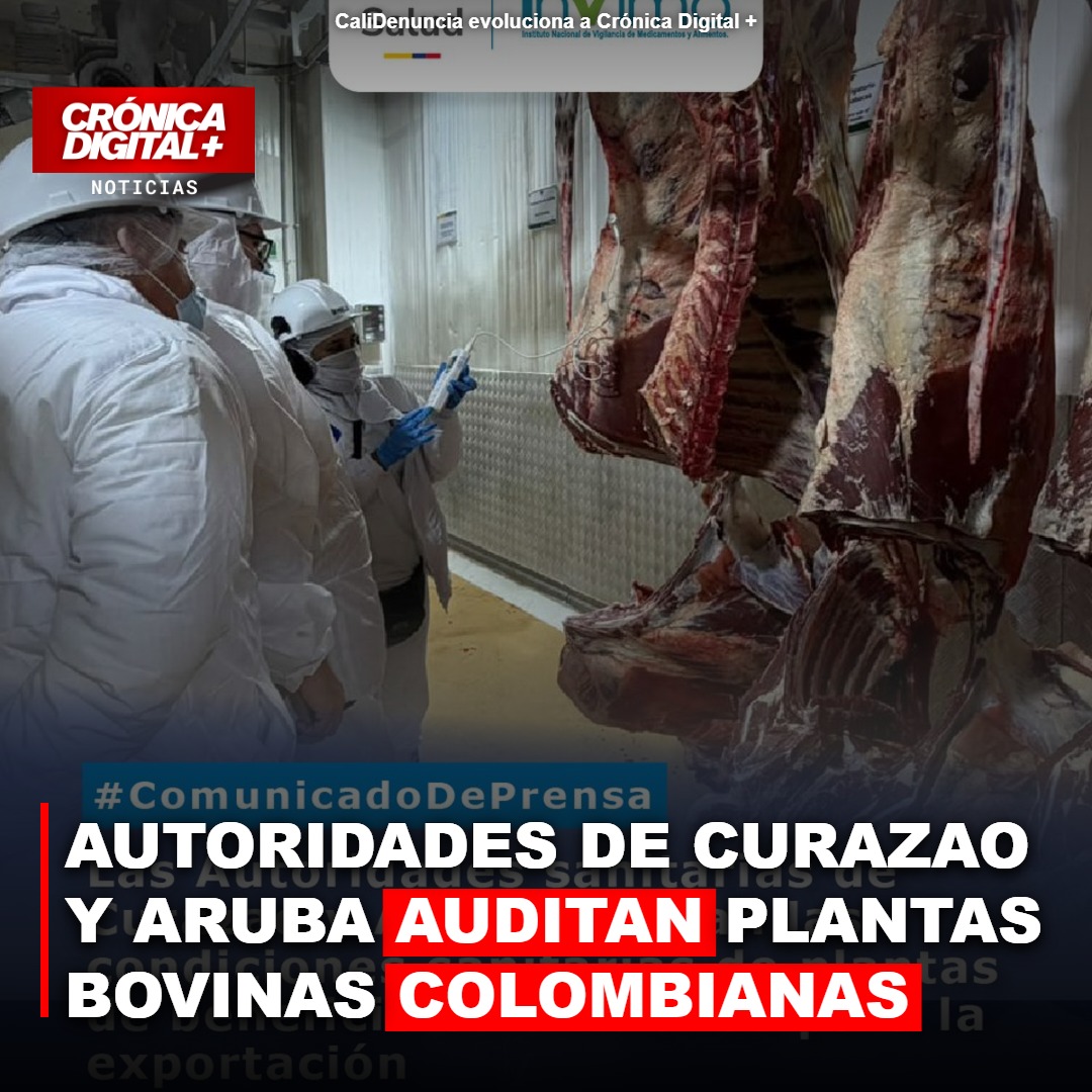 Autoridades de Curazao y Aruba auditan plantas bovinas colombianas