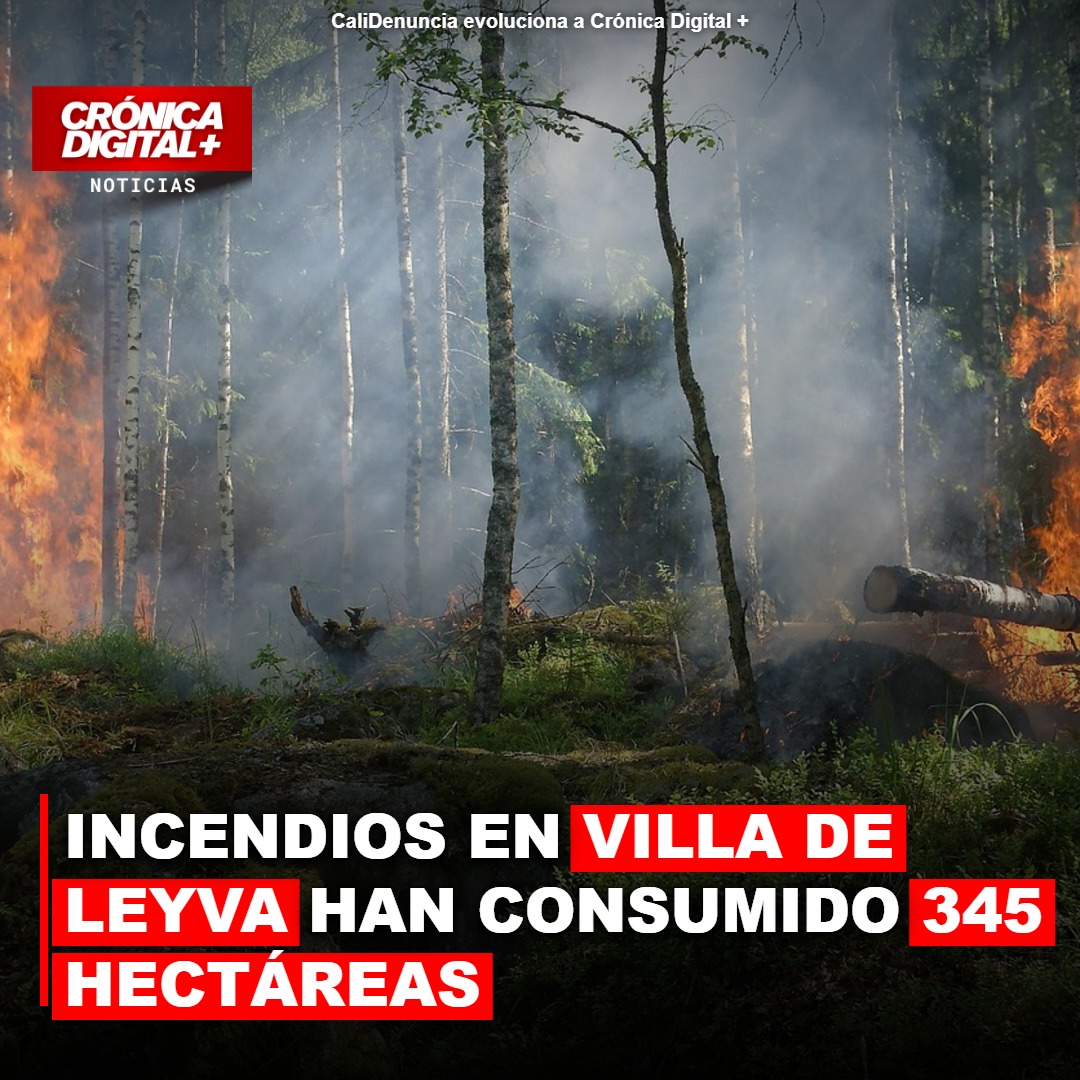 Boyacá: Incendios en Villa de Leyva calcinan 345 hectáreas