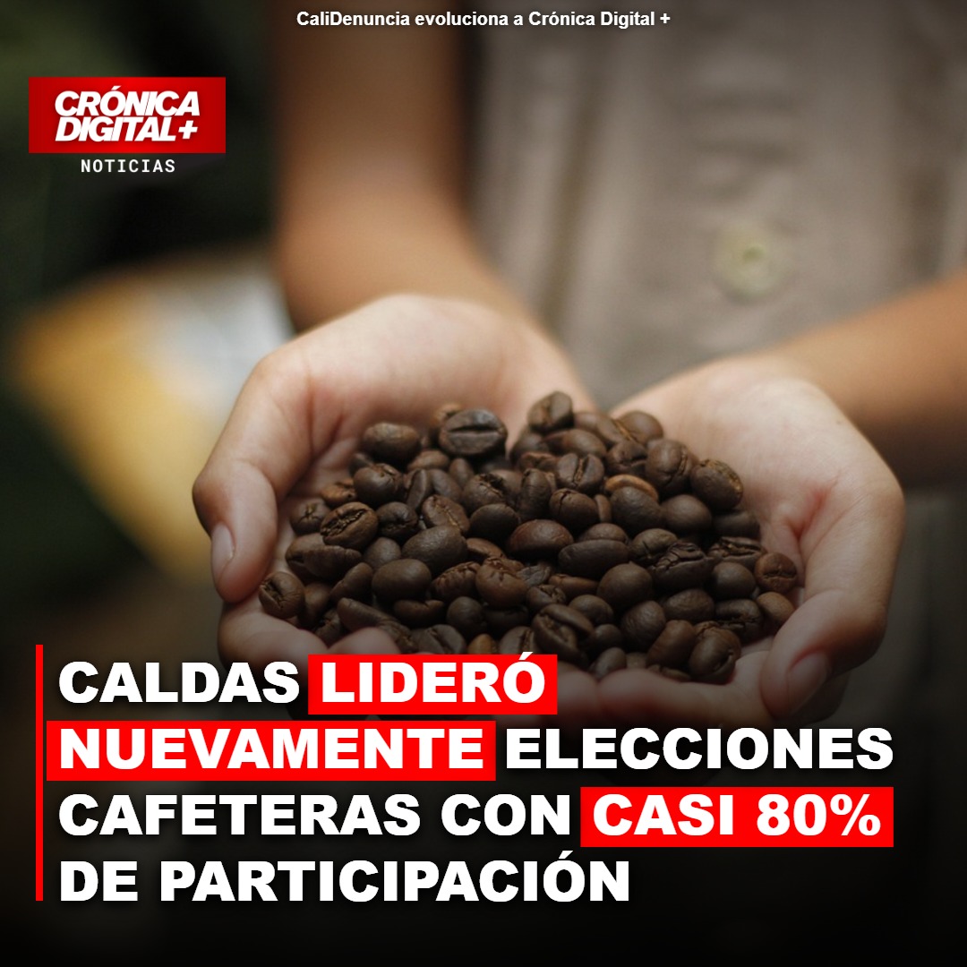 Caldas revalida liderazgo en elecciones cafeteras con participación récord