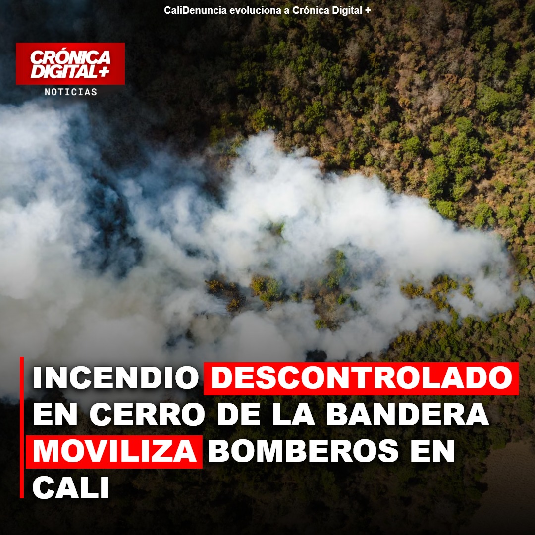 Cali enfrenta incendio forestal en Cerro de la Bandera: movilización urgente