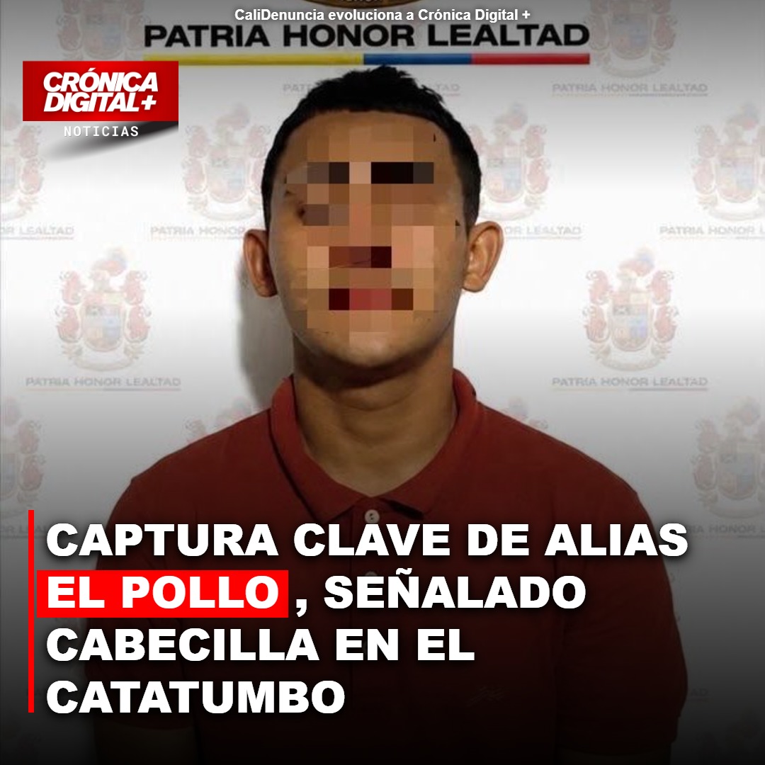 Captura clave de Alias el Pollo, señalado cabecilla en el Catatumbo