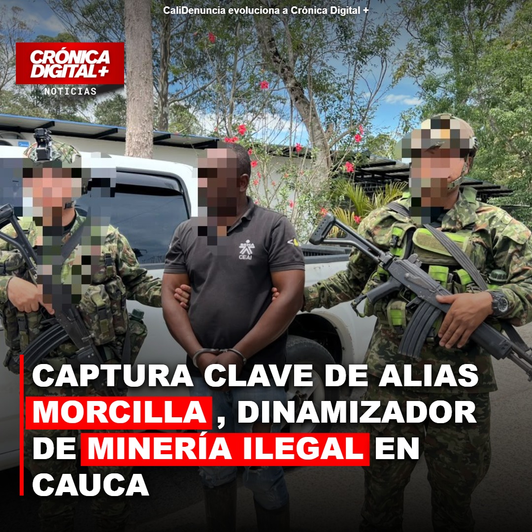 Captura de «Morcilla» impacta finanzas de disidencias en Cauca