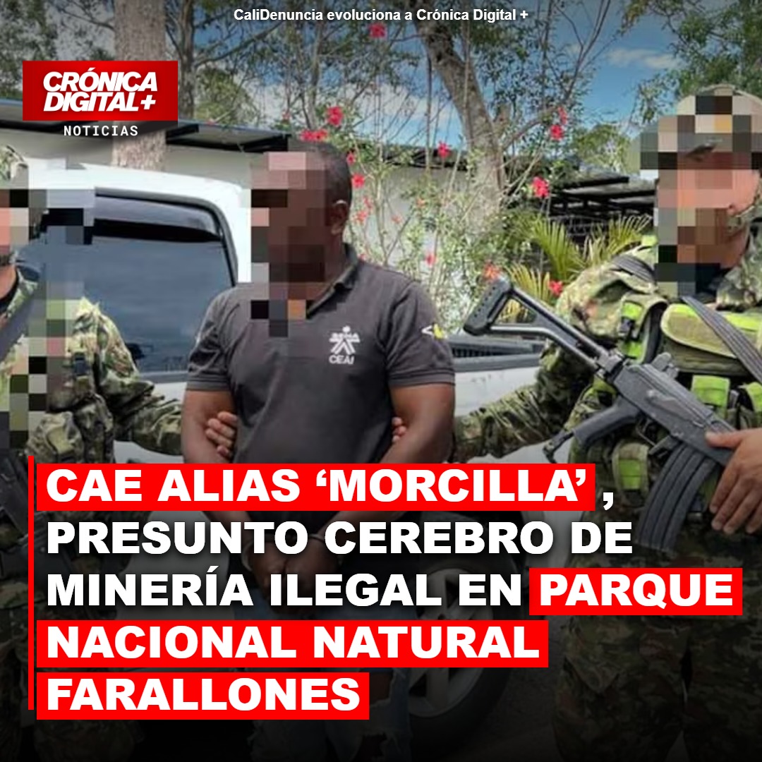 Capturan a ‘Morcilla’ en Cauca por minería ilegal en Farallones de Cali