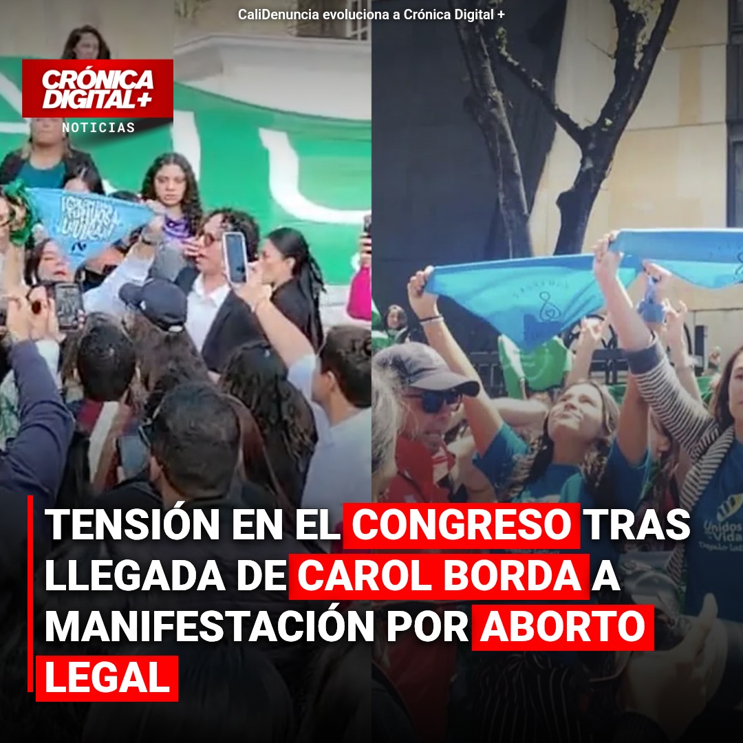 Carol Borda tensa manifestación por aborto legal ante el Congreso
