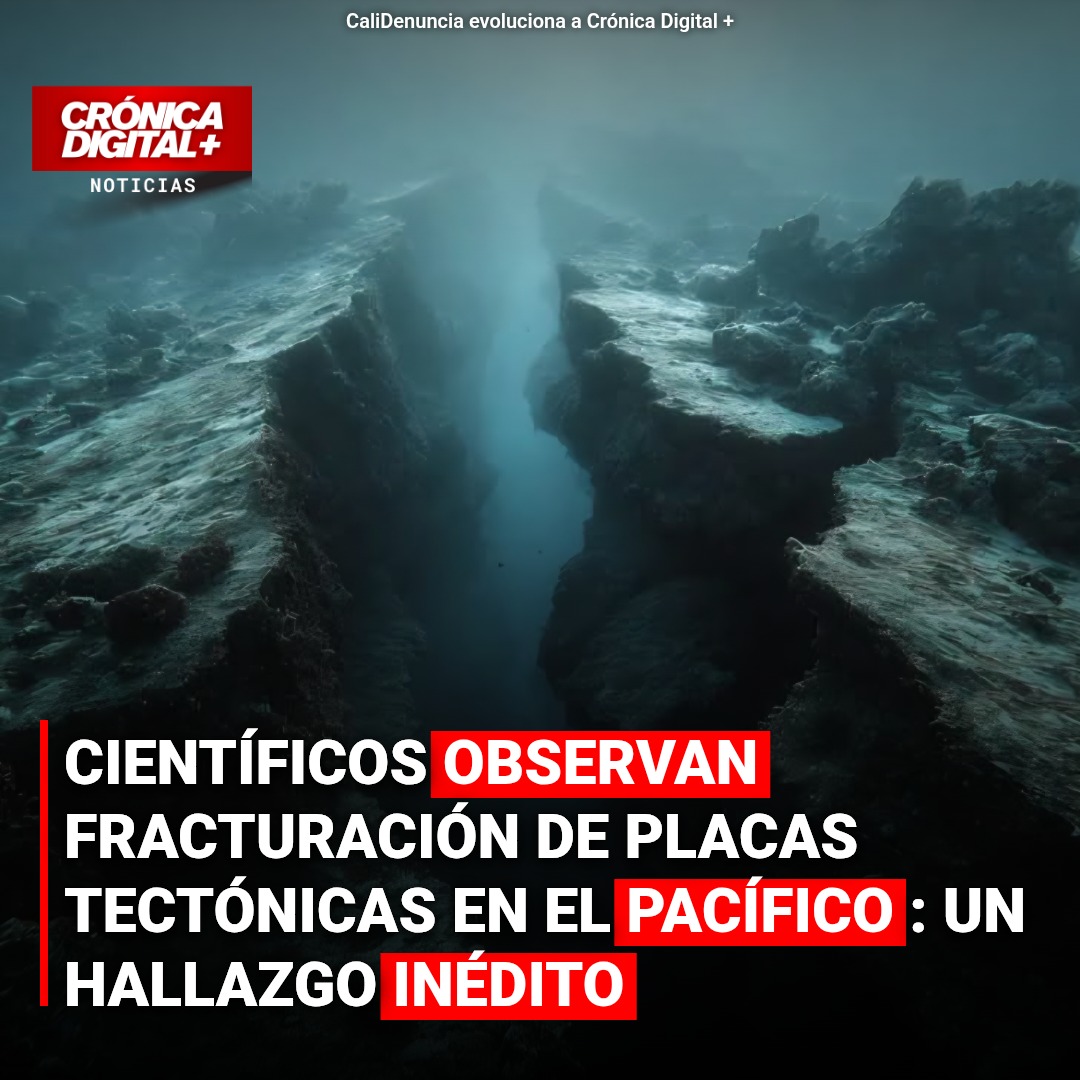 Científicos observan fracturación de placas tectónicas en el Pacífico