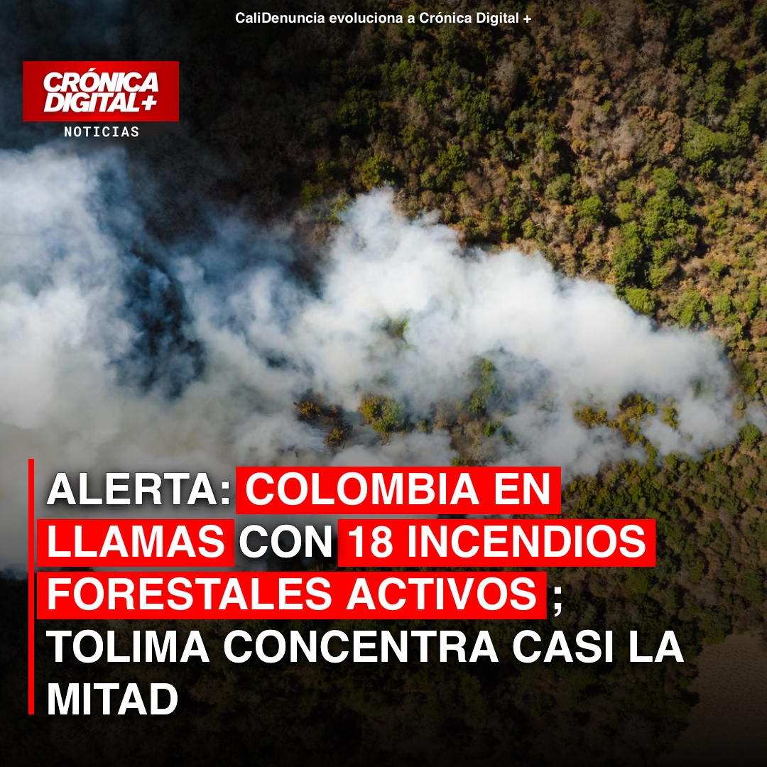 Colombia Enfrenta Grave Ola de Incendios: Tolima el Epicentro de la Crisis