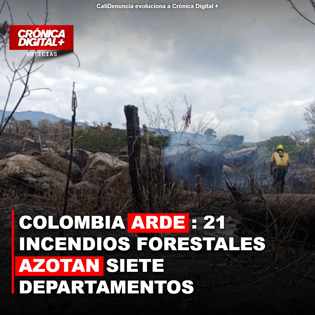 Colombia: Incendios Forestales Desbordan Capacidades en Siete Departamentos