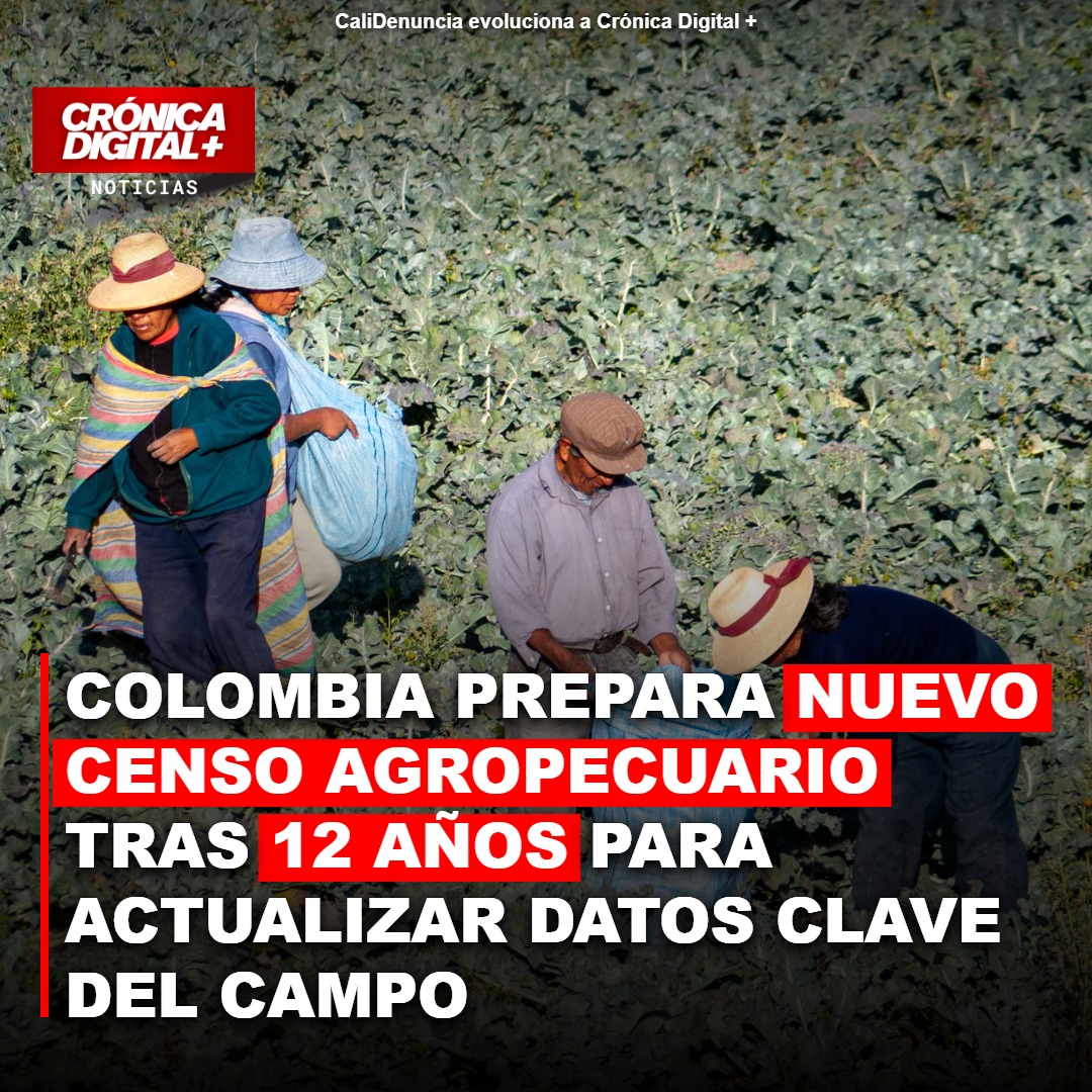 Colombia prepara Censo Agropecuario tras 12 años sin datos actualizados