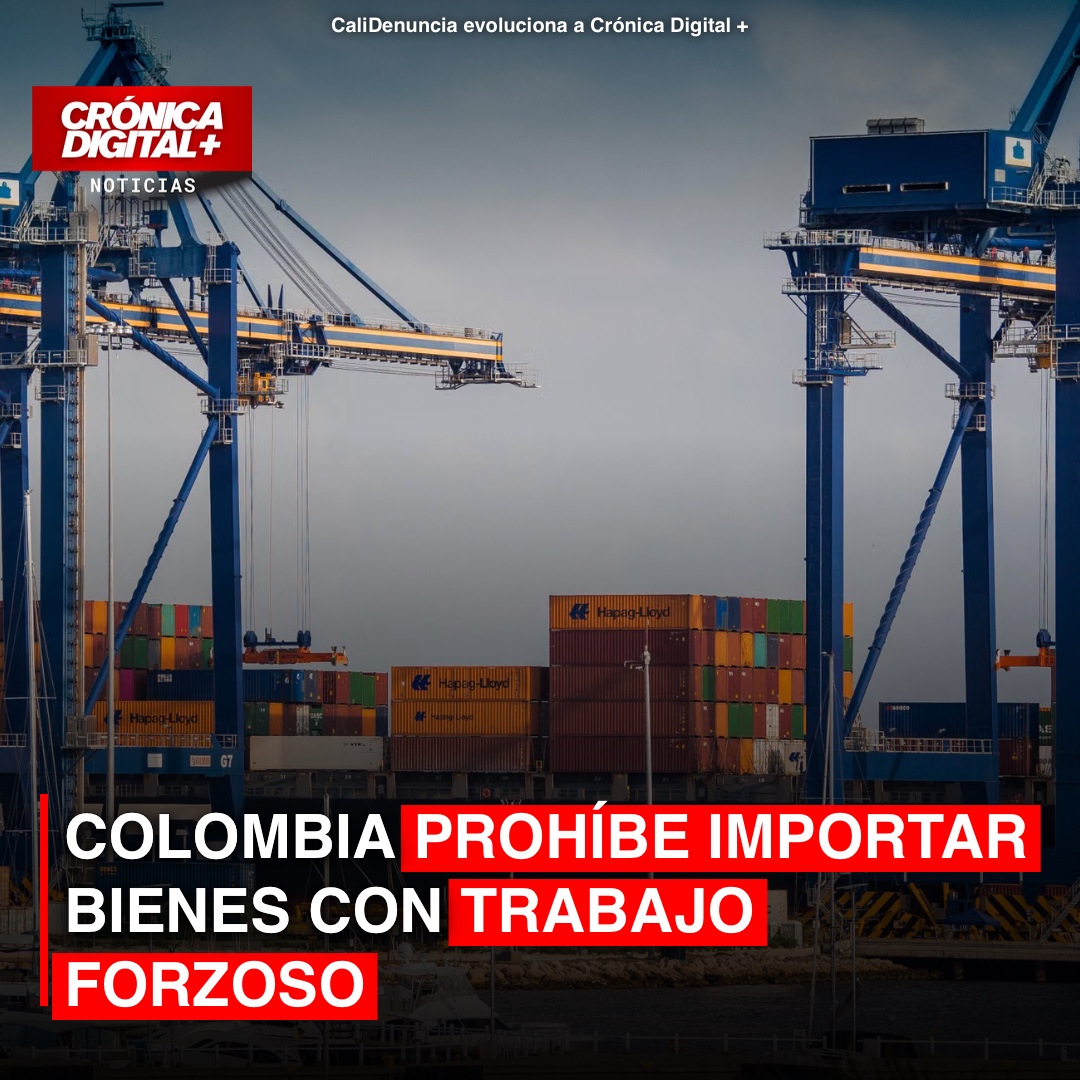 Colombia prohíbe importación de bienes producidos con trabajo forzoso