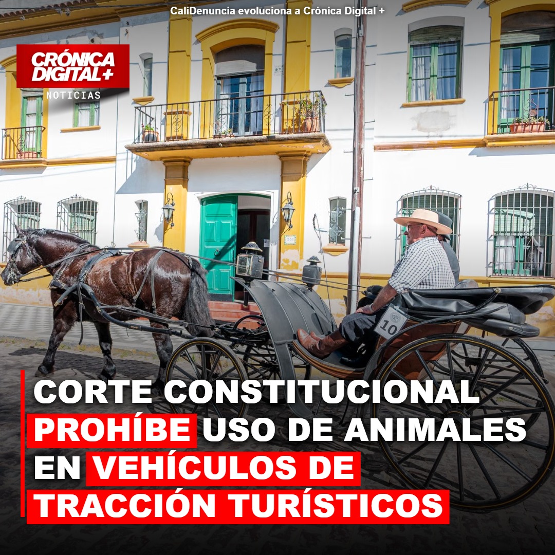 Corte Constitucional prohíbe tracción animal en turismo