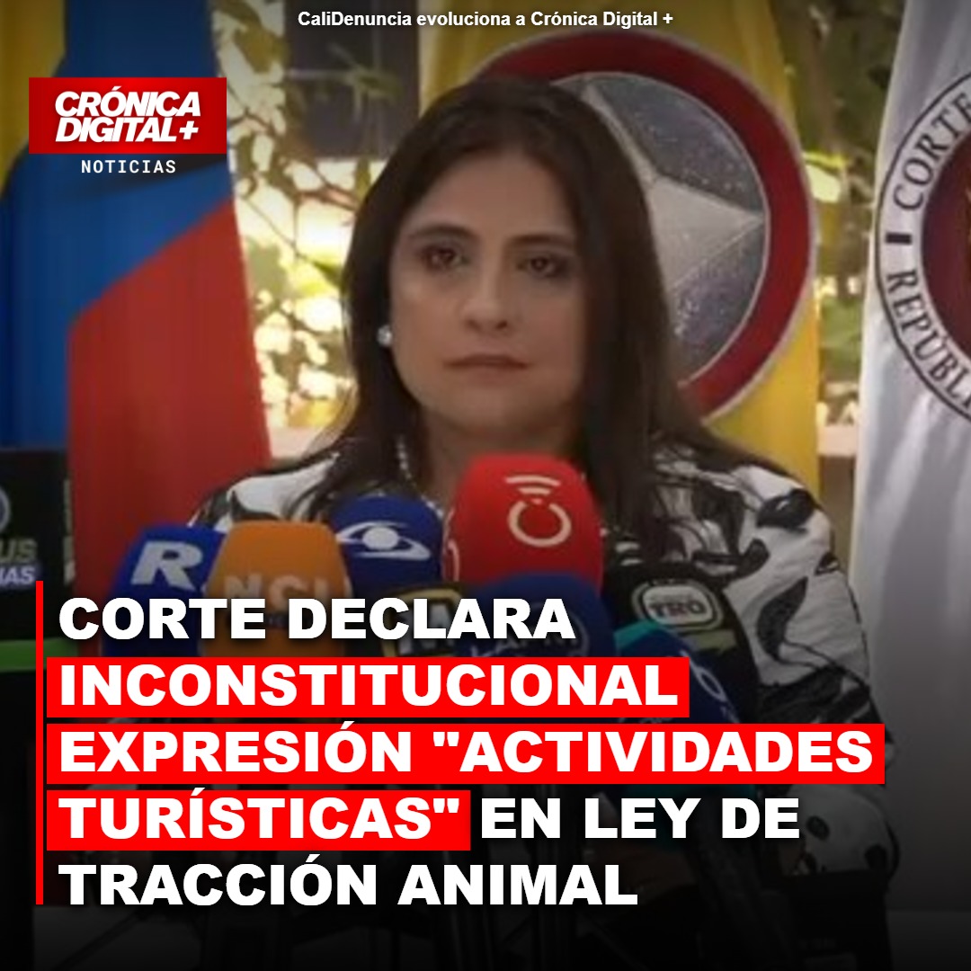 Corte declara inconstitucional uso de tracción animal para turismo