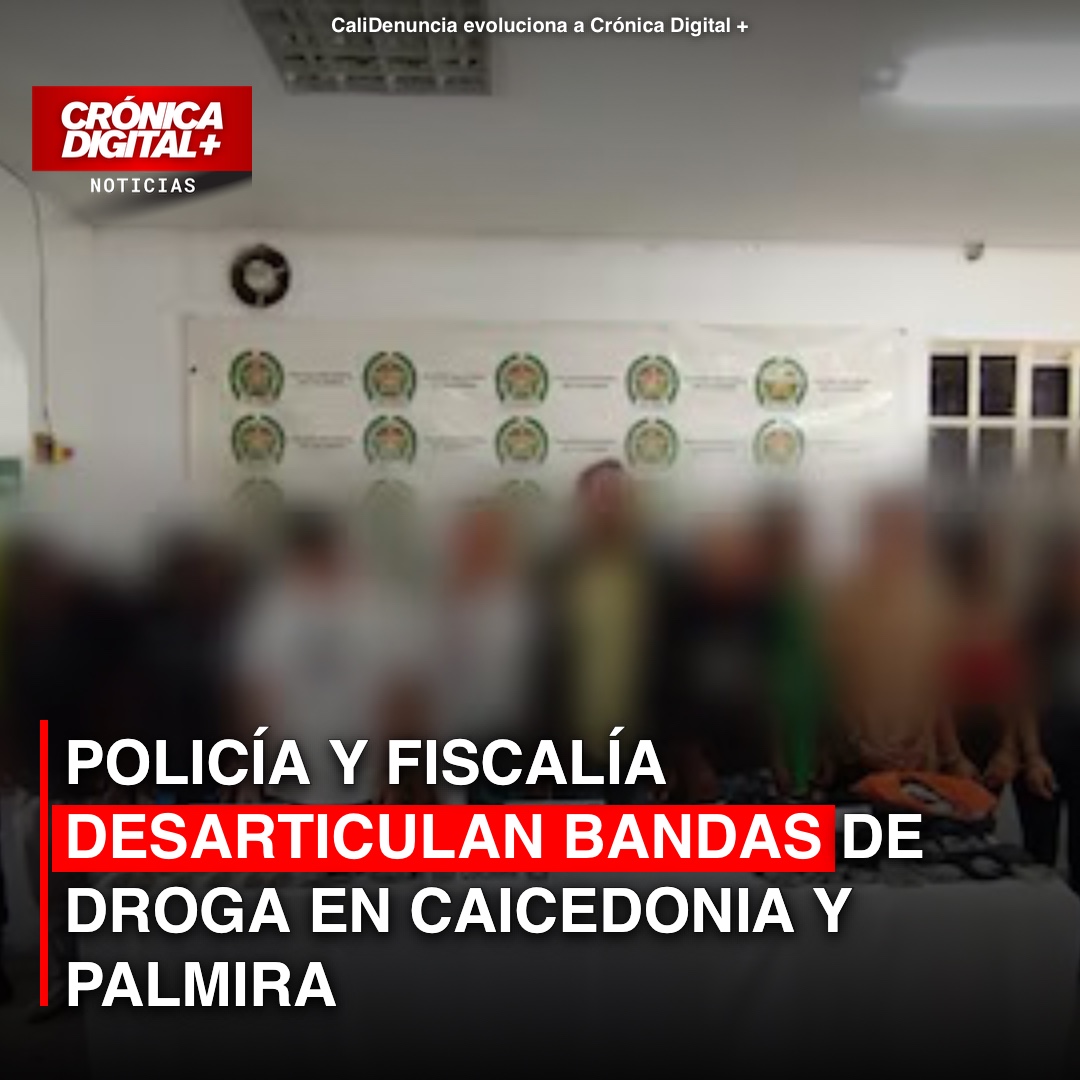 Desmantelan bandas de microtráfico en Caicedonia y Palmira