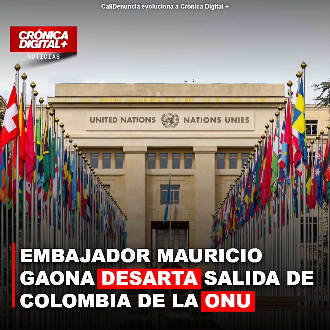 Embajador Gaona niega salida de Colombia de la ONU