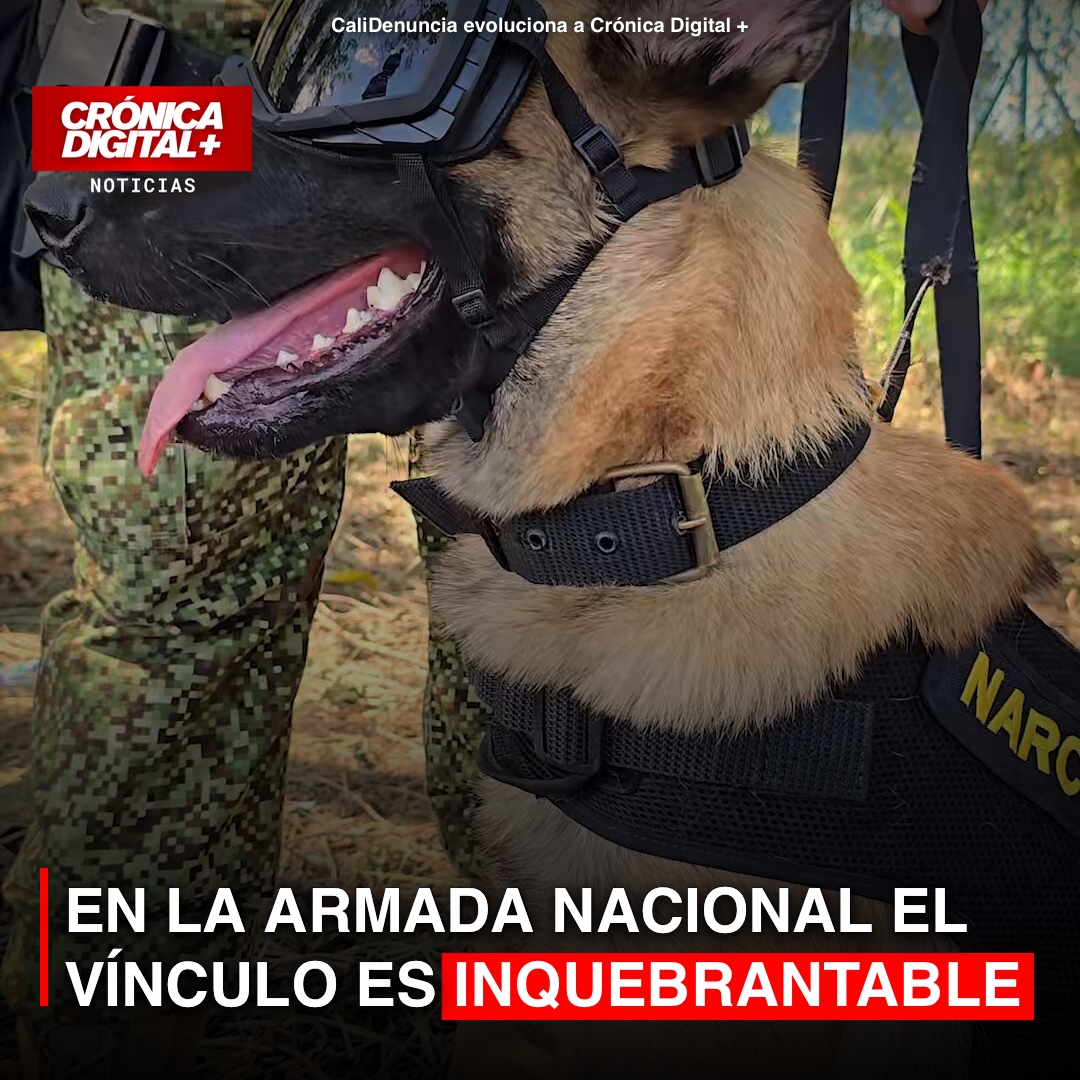 En la Armada Nacional el vínculo es inquebrantable