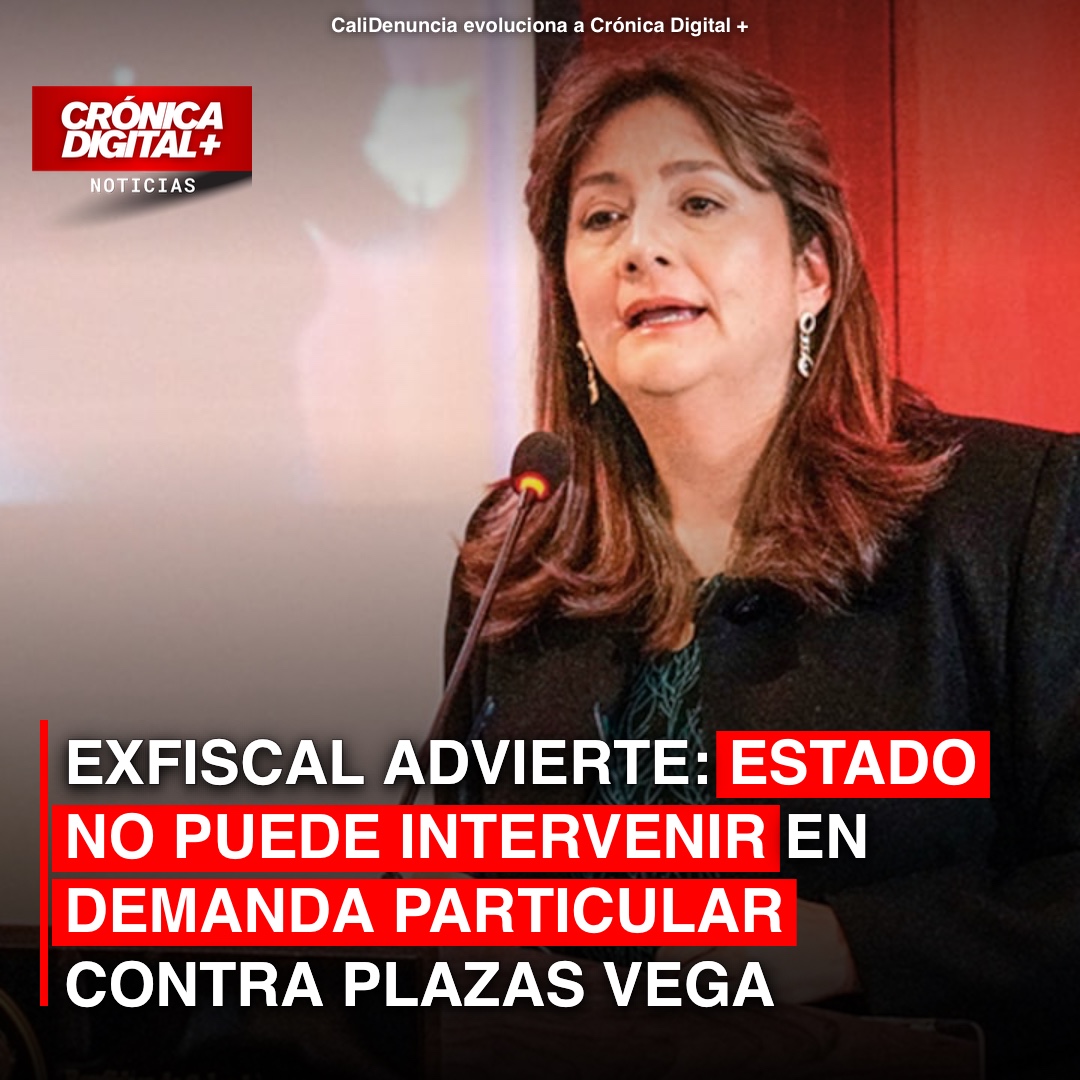 Exfiscal Buitrago: Estado no debe intervenir en demanda civil contra Plazas Vega