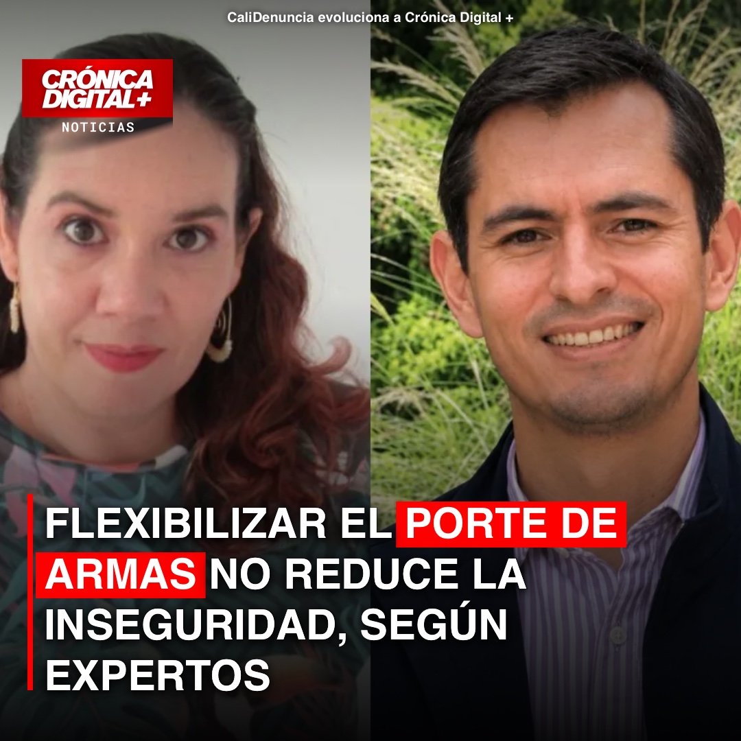Expertos: Flexibilizar porte de armas no mejora seguridad en Colombia
