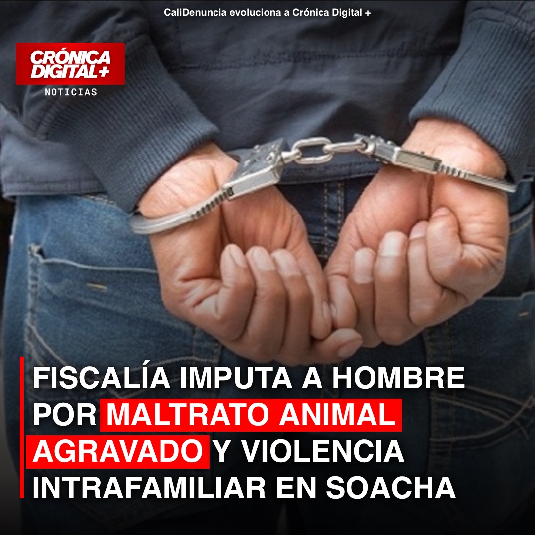 Fiscalía imputa a hombre por maltrato animal agravado y violencia intrafamiliar en Soacha