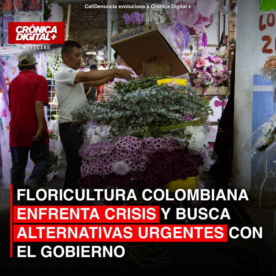 Floricultura colombiana busca auxilio estatal ante crisis exportadora