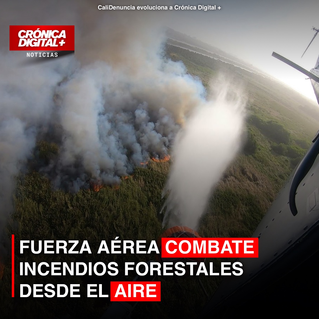 Fuerza Aérea combate incendios forestales desde el aire