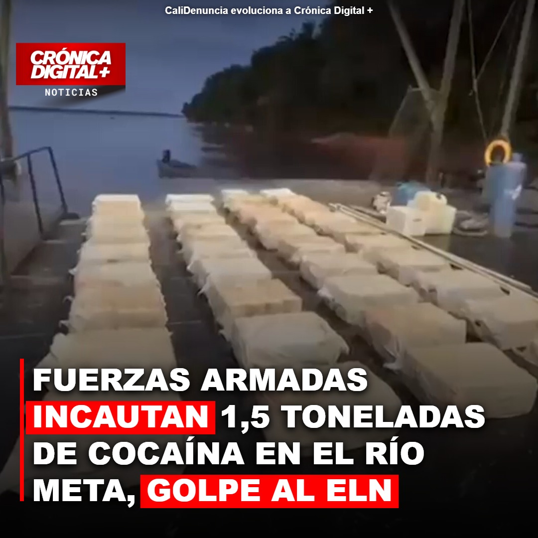 Fuerzas Armadas incautan 1,5 toneladas de cocaína en el río Meta, golpe al ELN