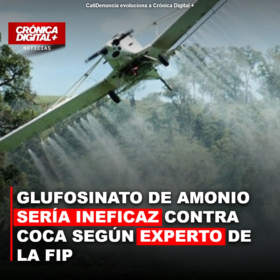 Glufosinato de amonio: ¿ruta fallida contra la coca?